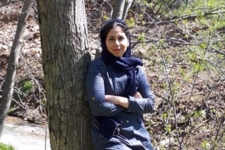 الهام زینلی